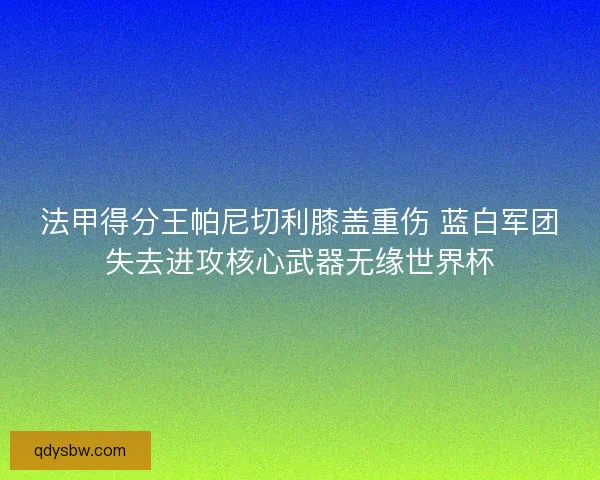 法甲得分王帕尼切利膝盖重伤 蓝白军团失去进攻核心武器无缘世界杯