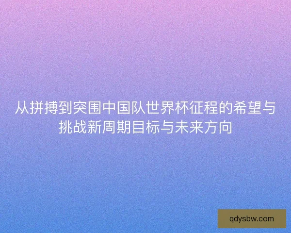 从拼搏到突围中国队世界杯征程的希望与挑战新周期目标与未来方向