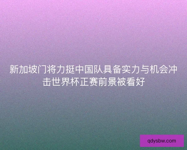 新加坡门将力挺中国队具备实力与机会冲击世界杯正赛前景被看好